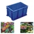 Aristo 6 Liter 300x200x150 mm Rectangular Crate