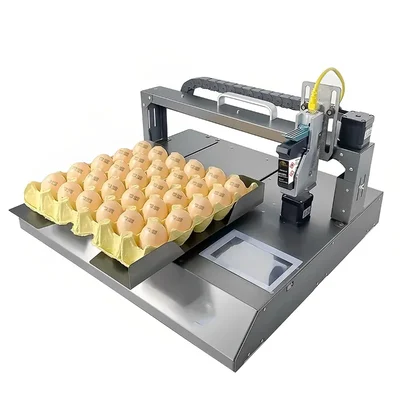 High Quality Automatic Date Stamp Egg Printing Machine