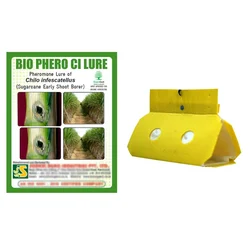 BIO PHERO CI with Delta Trap (10 Pcs Lure and 10 Pcs Trap)