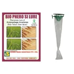 BIO PHERO SI with Funnel Trap (10 Pcs Lure and 10 Pcs Trap)