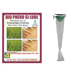 BIO PHERO SI with Funnel Trap (10 Pcs Lure and 10 Pcs Trap)