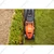 Black+Decker BEMW461BH-GB, Electric Winged Blade Lawn Mower, 1400-Watt 13 Inch With 40 L Grass Box Capacity, 12m Cable Length