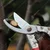 DAP ZJ1 Bypass Pruner with Auto Open Fixture - Ideal for Gardening, Deadheading, and Trimming Stems/Thin Branches