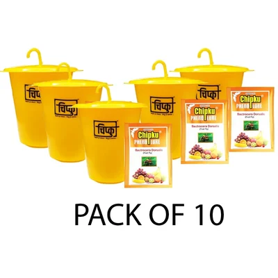 Chipku ECO-MAX Trap with Pheromone Fruit Fly Lure For Bactrocera Dorsalis(Quantity-10 pieces)