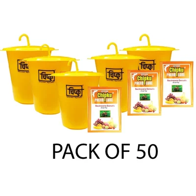 Chipku ECO-MAX Trap with Pheromone Fruit Fly Lure For Bactrocera Dorsalis(Quantity-50 pieces)