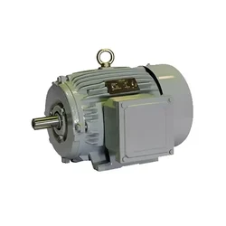 CG Power (GF7004) 4 HP Single Phase 4 Pole Foot Mounted Induction Motor - 1 Year Warranty