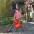 Wolf Garten LBV-2600-E Electric Vacuum Leaf Blower, 2600 Watt with 50L collection bag