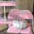 Fully Transparent Pinata Cake Box 10 inch (Pack of 5)