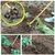 Mahan GHH-1.68 + 6 inch Blade + 8 inch Blade, Gardening Hoes/ Manual Weeder/ Hand Weeder