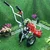 Heavy Duty Trolley Type 2 Stroke 52 CC Grass Cutter Machine With Twisted Wire Trimmer Attachment For Floor Cleaning & Weeding 