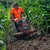 Husqvarna TF 445D+, Powerful 9 HP 418 CC Diesel Power Tiller For Agriculture