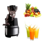 Premium Quality Cold Press Juicer With Smart Flow System and Magna feed Inlet, 250 Watt