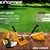KINGPARK KP-350(GX35), 4 Stroke 35 CC Sidepack Petrol Brush Cutter | Grass Cutting Machine With Accessories 