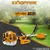 KINGPARK KP-430, 2 Stroke 42.7 CC Sidepack Petrol Brush Cutter | Grass Cutting Machine With Accessories