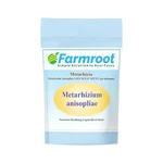 FARMROOT Metarhizia (Granular)  Bio-Pesticide |  Chemical-Free 