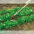 Wolf Garten BI-M Multi-Star Aerator – Precision Soil Loosening Tool for Narrow Rows