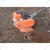 Neptune NC-100, 3HP Mini Weeder/ Tiller/ Cultivator with 4 Stroke and 98CC Petrol Engine 