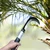 Falcon FPP-703 Iron Palm Pruner Heavy Duty Palm Leaf & Branch Cutting Tool