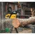 Polymak PMCS-5822, 58cc Petrol Chainsaw, 22-inch - Powerful Tree Cutting Machine