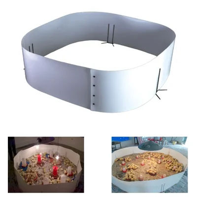 Premium Quality 30 Feet Round Chick Guard With 800 Birds Capacity & 3 Stands For Brooding