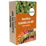Katyayani Bacillus Subtilis 2% WP Advanced Powder Bio-Fungicide For Controlling Diseases and Natural Plant Protection