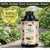 Chipku 200ml Ayurvedic Plant Guard Spray To Control Natural Pest & Fungus, Powerful For Indoor Plant Like Herbs & Bonsai