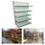 Premium Quality 5 Shelves (6 x 3 Feet) Display Rack - Main Unit