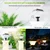 RGB 10w Solar lamp for Gardening outdoor waterproof pillar wall Lamp (Pack-1 Pc)