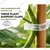 Chipku 50 Pcs Plant Support Clips, Helps Plants Grow Upright, Tomato & Vegetable Trellis Clips, Reusable Garden Clip Set
