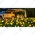 GIGAWATTS Firefly 10 LED Solar Garden Light Automatic Waterproof Ground Festival Decoration Lamp for Outdoor (Pack of 2)