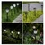 Premium Quality Garden Solar Light, Garden Landscape Lighting Sun Powered Lanterns For Outdoor Decoration (Pack Of 2)