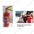 Sainex Dry Powder Stored Pressure Fire Extinguisher, Capacity 2 kg (BC/ABC)