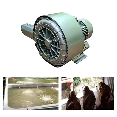 Yash YEBL-DS-110, 1.5 HP Double Stage Ring Blower for Agitate & Aerate Water in Fish Tank/Aquaculture Tank/Plating Tank 