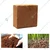 Sonkul 4.4kg Cocopeat Block For All Soils And Crops