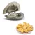Stainless Steel Dumpling, Momo, Gujiya Mould Maker (Pack of 2)