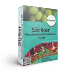 Katyayani Striker Pseudomonas Fluorescens Bio Fungicide Powder To Protect Plants