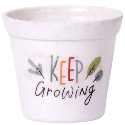 Ecofynd MPOT004 for Elegant Indoor & Tabletop Decor(Pack of 2)