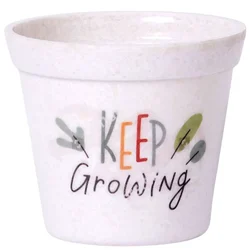 Ecofynd MPOT004 for Elegant Indoor & Tabletop Decor(Pack of 2)