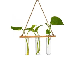 Ecofynd TTP008 Wooden Wall Hanging Test Tube Planter for Modern Indoor & Outdoor Decor(Pack of 2)