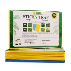 WAVAR A5 Size Yellow and Blue Sticky Trap(Pack-Bundle of 1)