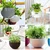 6 Pcs ABS Plastic Hanging Plant Pots with Stainless Steel Chain for Home, Office & Garden