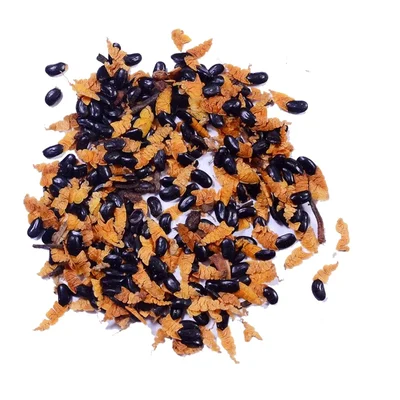 Acacia Mangium Tree Seed - (100g)