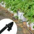 Krishi Bandhu Advance 16 mm Online Drip Pipe | Suitable for Drip Irrigation (Rolls - 270 mtr )