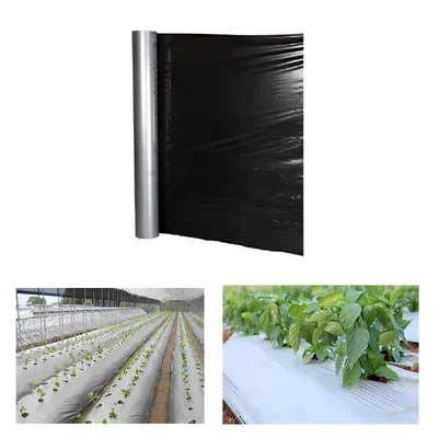 Siddhi 30 micron 400 meter Black and Silver Mulching Sheet | Suitable for Garden and Agriculture Purposes(Size-3.25 feet x 400 meters)