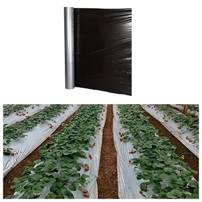 Siddhi 20 micron 400 meter Black and Silver Mulching Sheet | Suitable for Garden and Agriculture Purposes(Size-3.25 feet x 400 meters)