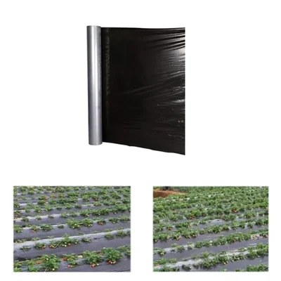 Siddhi 25 micron 400 meter Black and Silver Mulching Sheet | Suitable for Garden and Agriculture Purposes(Size-3.25 feet x 400 meters)