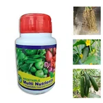Agrinex 1L Vegetable Multi-Nutrient Growth Promoter