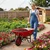 Agrolift 170 Kg Load Capacity Single Wheelbarrow With Solid tyre (SWB - SH - Heavy Model )