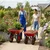 Agrolift 250 Kg Load Capacity  Double Wheelbarrow With Pneumatic Tyre ( DWB - PL Light Model )