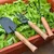 AGT Garden Tools Combo Kit of Trowel, Hand Fork, Cultivator and 2 Pair of Hand Gloves
